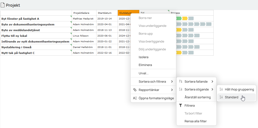 Sortera & filtrera på projektinformation